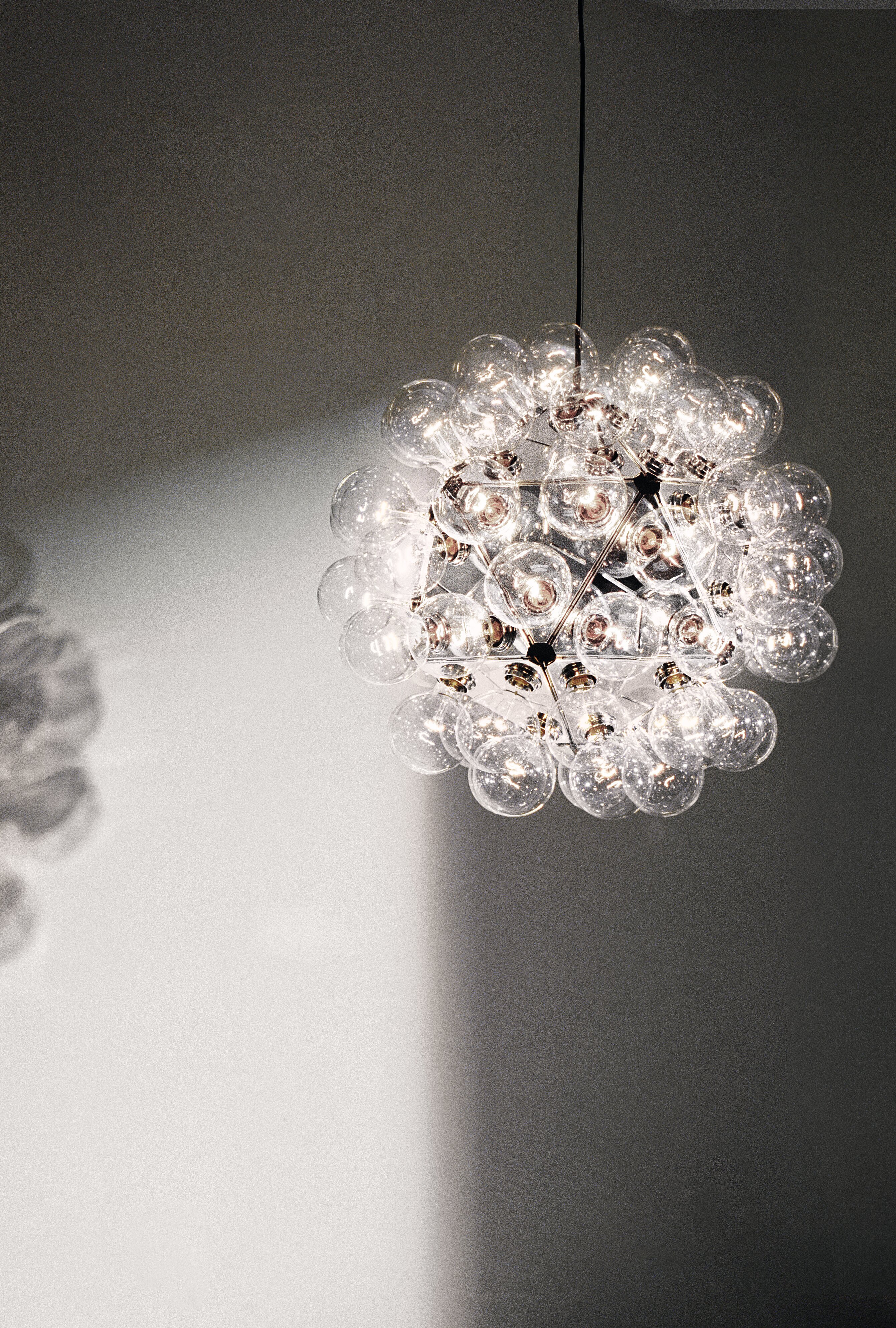 Taraxacum Collection