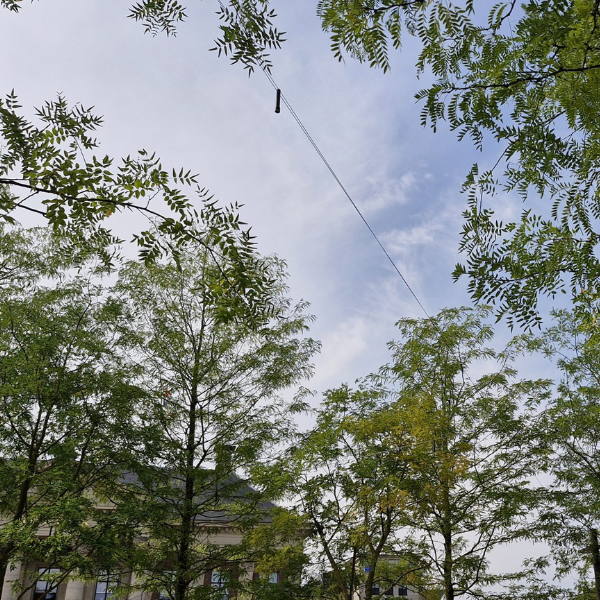 Puck Air Catenary