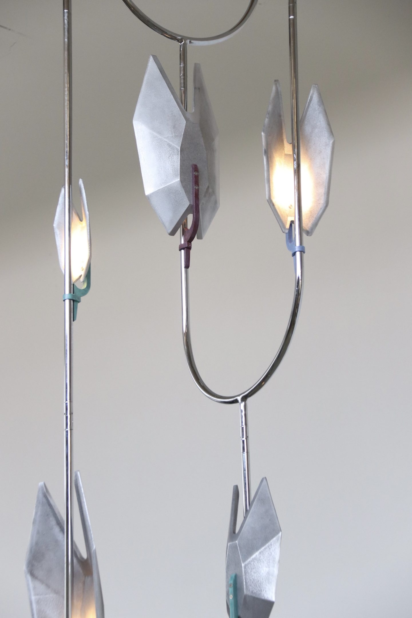 Carapace New Release