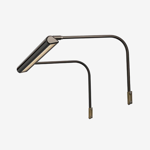 LD Picture Light