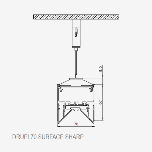Drupl Suspended