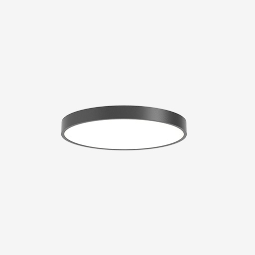FOURdisc Surface 450