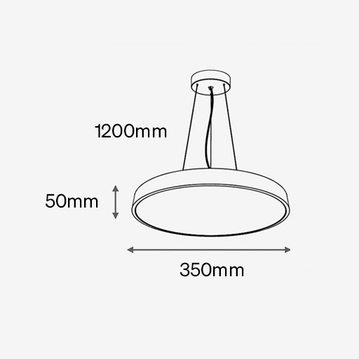 FOURdisc Suspended Wire 350