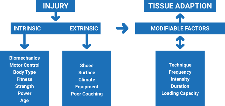Intrinsic Extrinsic Diagram