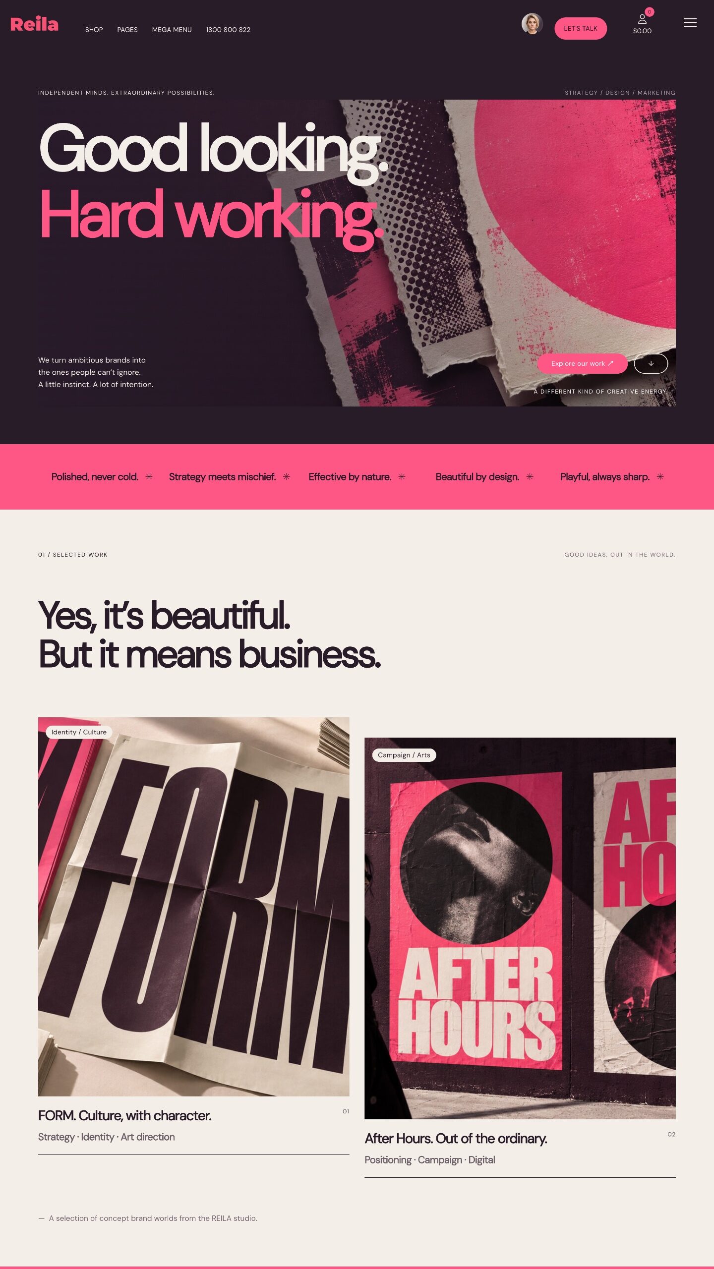 Reila Website Design Theme